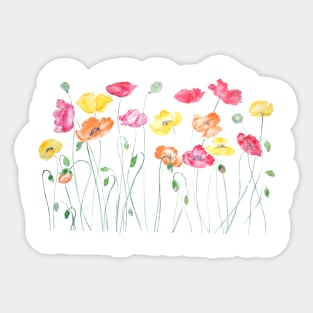 colorful poppies watercolor  horizontal Sticker